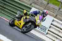Lower Group Yellow Bikes
